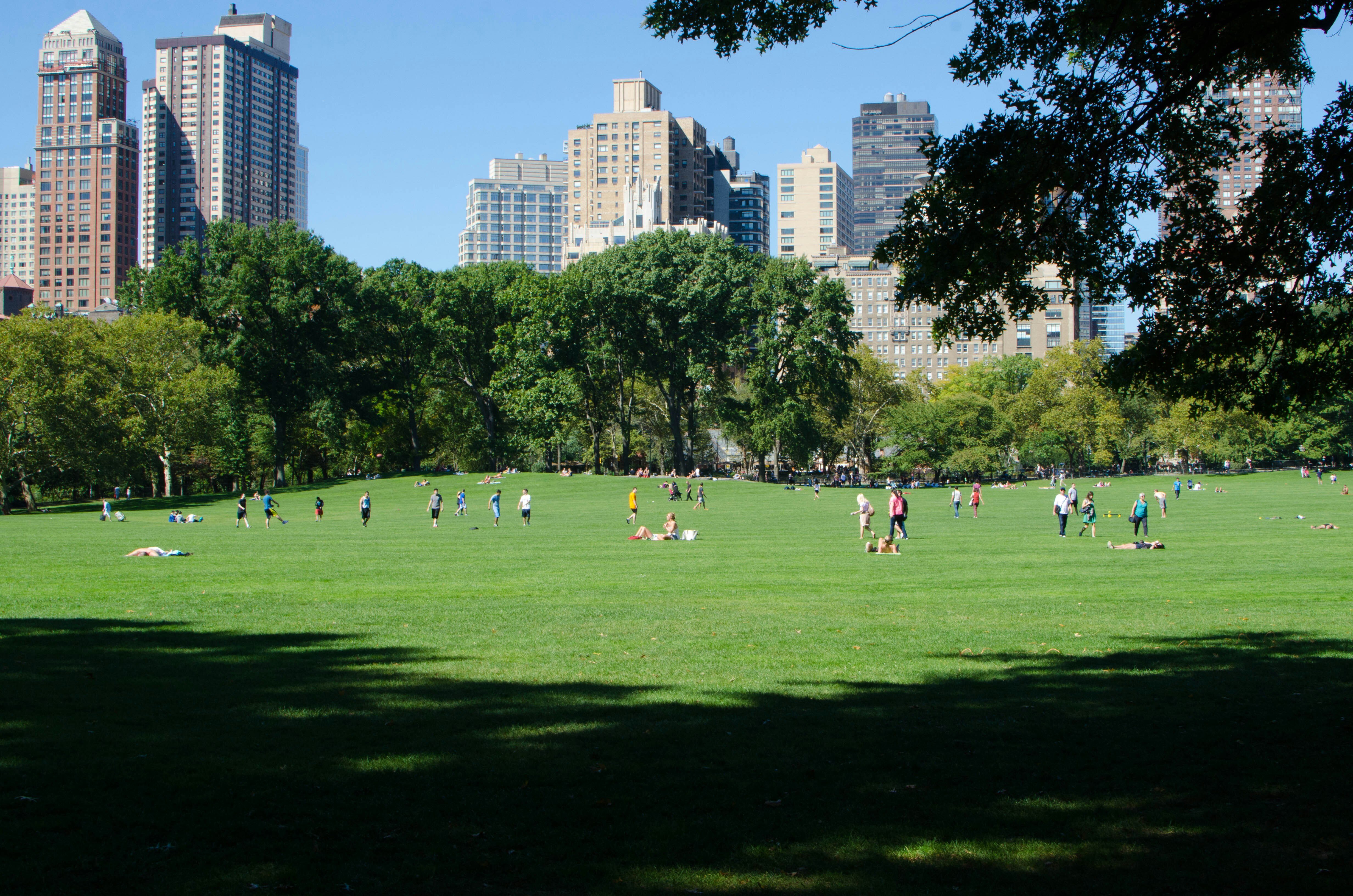 Central Park Sheeps Meadow