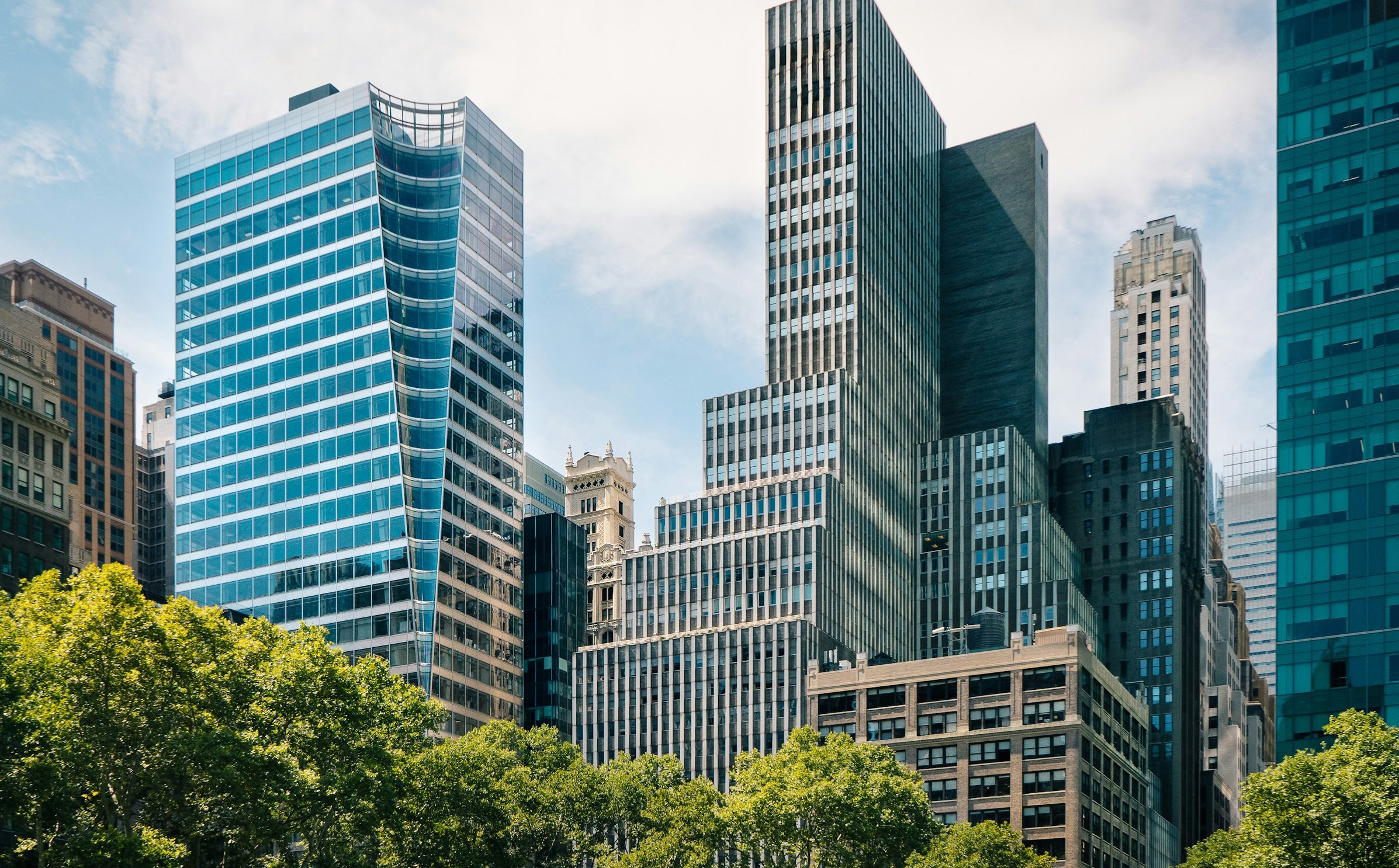 Glass skyscrapers rising above green trees in a New York City park.