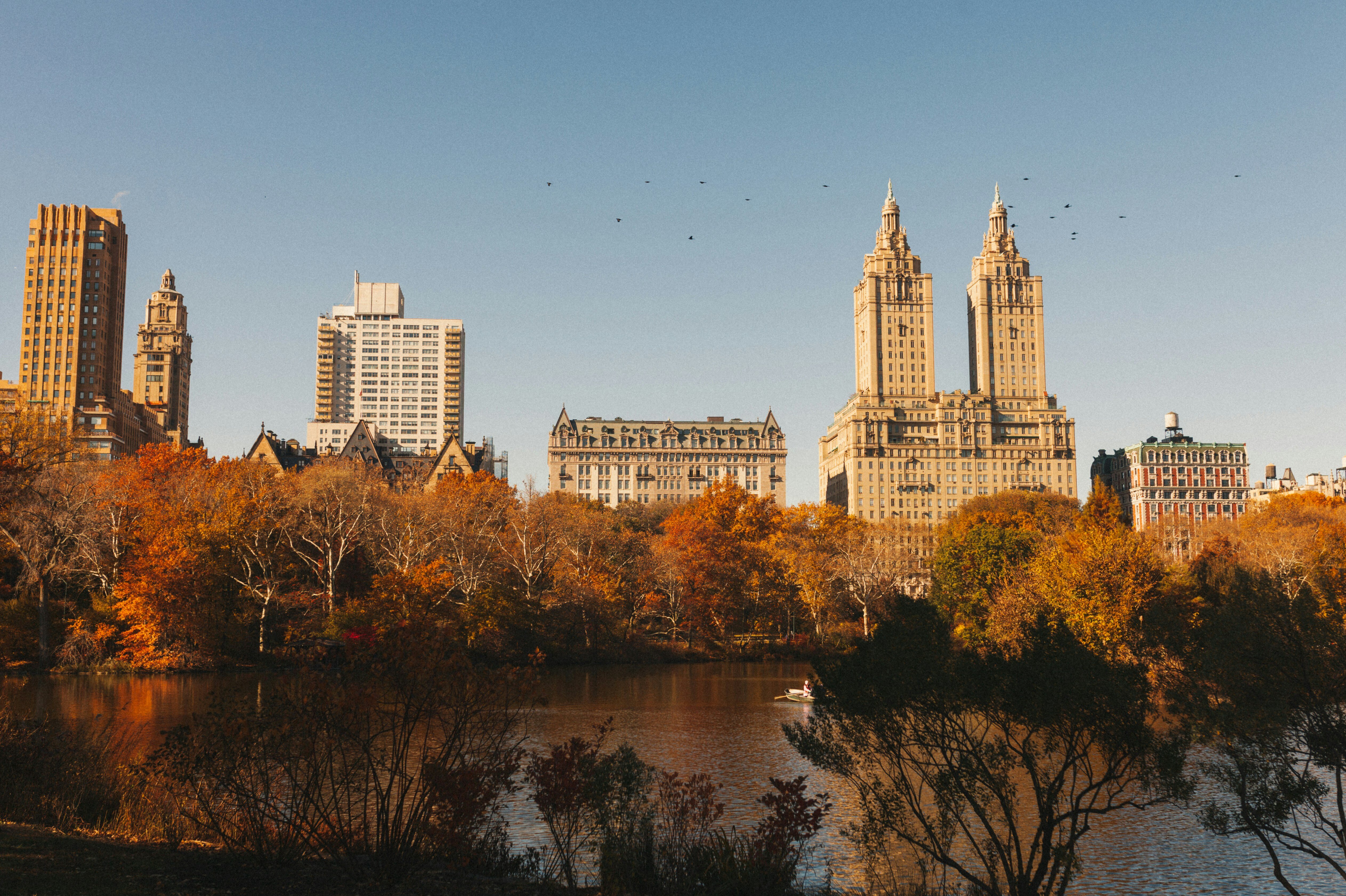 Central Park in autumn, with golden foliage and a view of historic NYC buildings in the background.