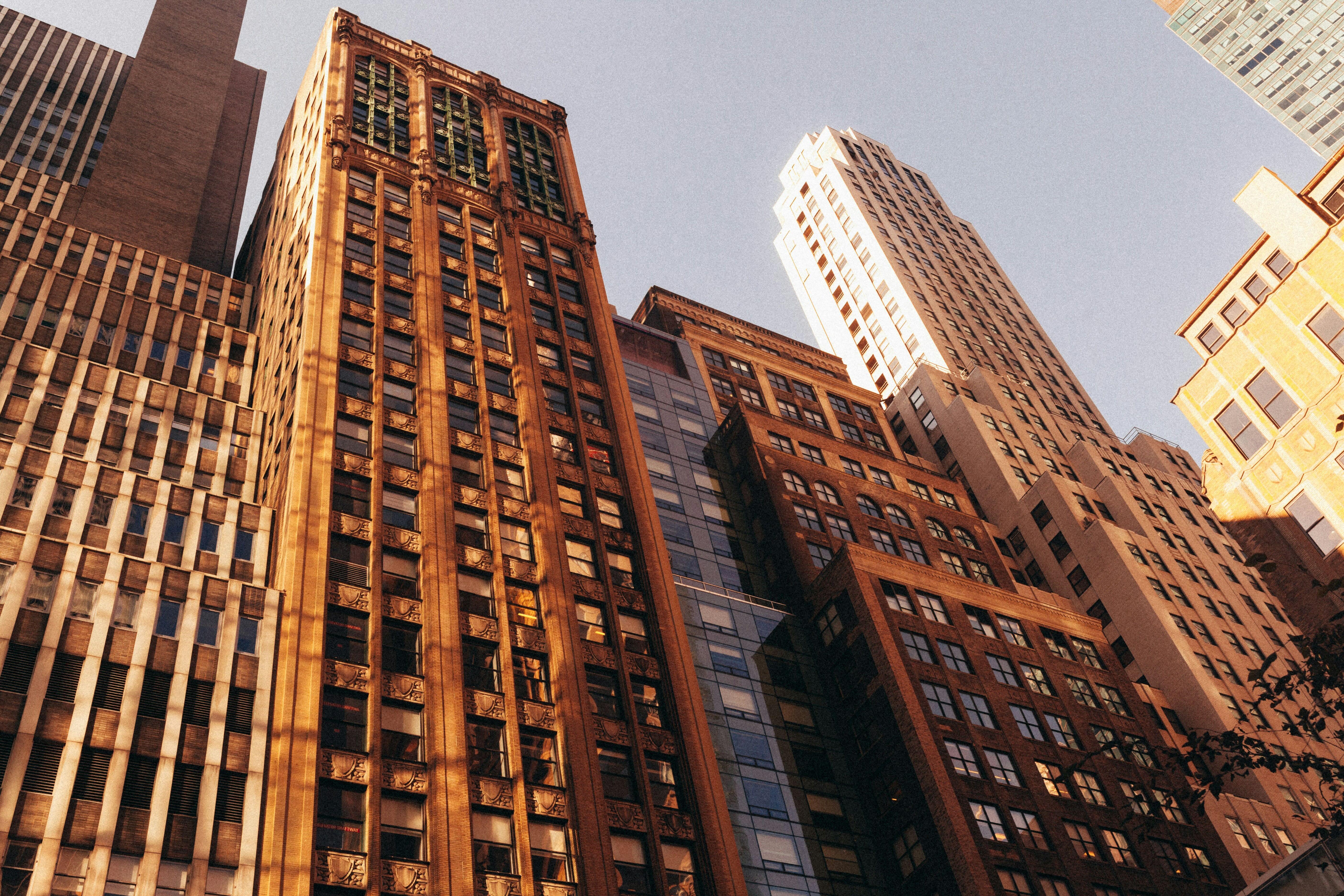 NYC Lot Line Windows